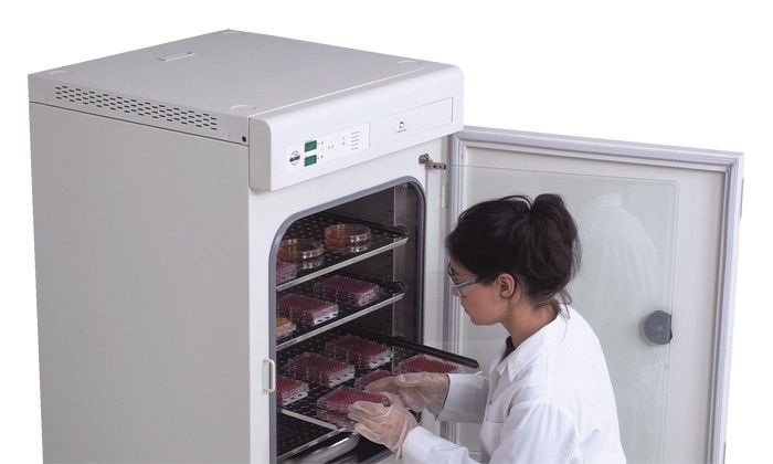 Estufa de laboratorio des