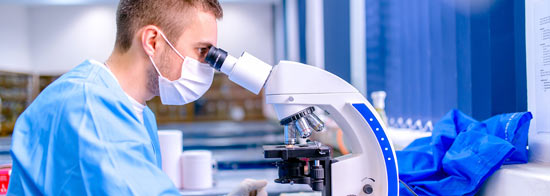 todo lo que necesitas para trabajar en un laboratorio todo lo que necesitas para trabajar en un laboratorio
